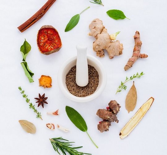 Cuisine saine : le lien entre des aliments sains et des ustensiles de cuisine