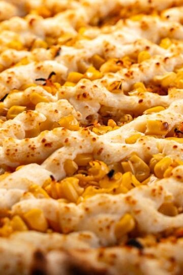 Gratin Crémeux de Poulet aux Poireaux et sa Croûte Dorée