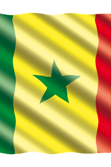 Loi contre l’homosexualité au Sénégal : « Les justifications historique et sanitaire de la loi sont infondées »