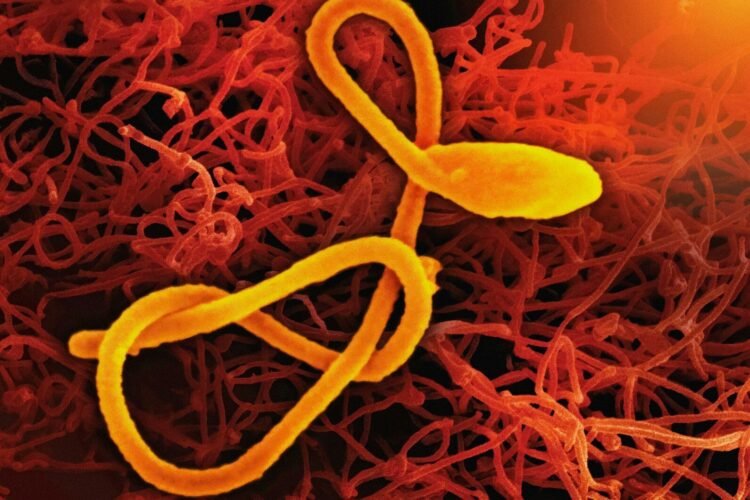 « Il faut empêcher qu’Ebola ne devienne une menace régionale et internationale »