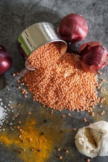 Ragoût de Lentilles Corail et Béchamel Légère au Thym