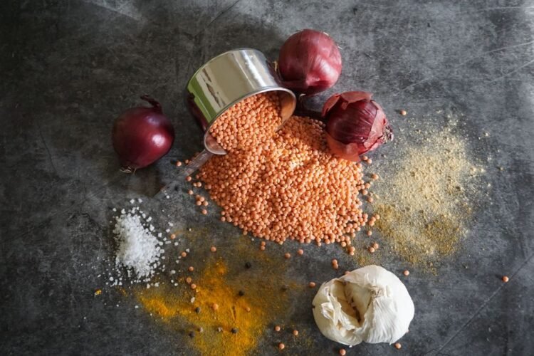 Ragoût de Lentilles Corail et Béchamel Légère au Thym