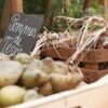 Pommes de terre : ce nutritionniste explique ce qui fait vraiment varier leur indice glycémique