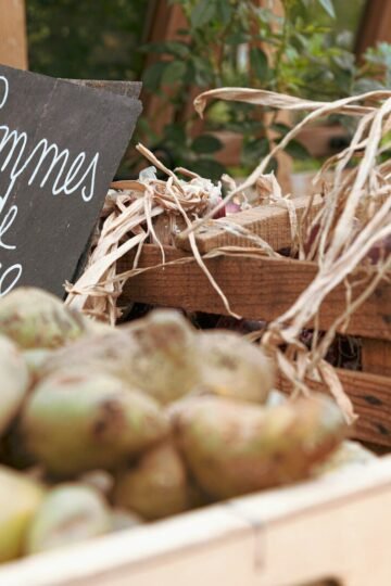 Pommes de terre : ce nutritionniste explique ce qui fait vraiment varier leur indice glycémique