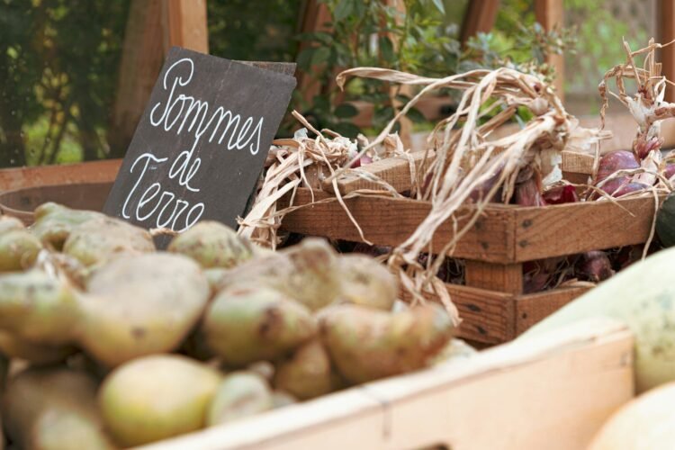 Pommes de terre : ce nutritionniste explique ce qui fait vraiment varier leur indice glycémique