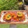 Lentilles Corail Marinées, Houmous de Betterave et Radis Croquants