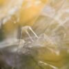 Film alimentaire : l’erreur la plus courante (et comment bien le poser pour une meilleure conservation)